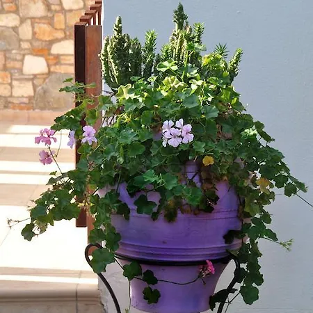 Anatoli Steni Vala Alonissos